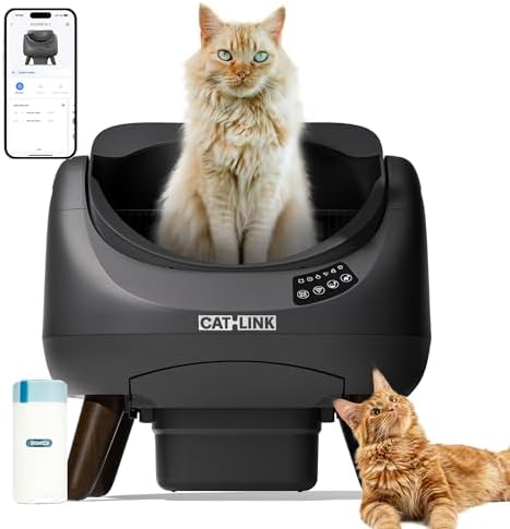 Avis CATLINK Young Pro X : Test Complet 2026